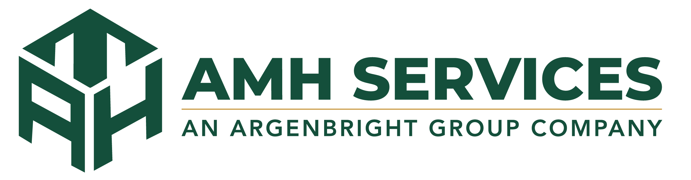 AMH_Services